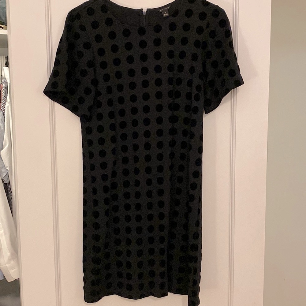 Black Polka Dot velvet shirt dress